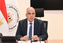 1763120971 elaosboa16204