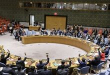 1763192308 elaosboa17983