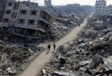 1763544506 elaosboa04216