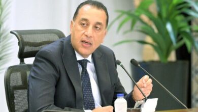 1764182906 elaosboa79215