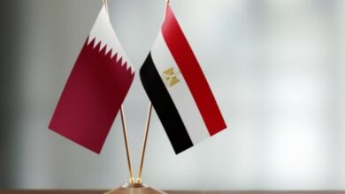 مشروع تنمية علم الروم يحسن قيمة الجنيه ويحقق التنمية المستدامة 5 1809754358455202511120848544854