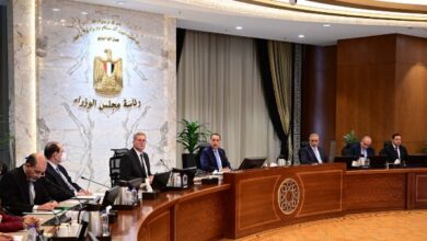 مدبولي يترأس اجتماع الحكومة الأسبوعي 6 18172117457588202511130436273627