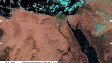 567505254277202511130151425142