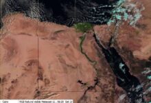 567505254277202511151141314131