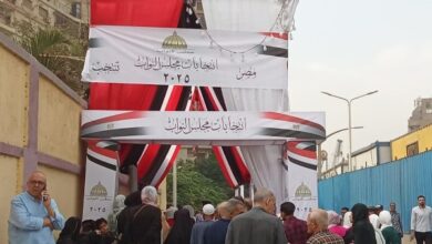 انتخابات مجلس النواب 2025 .. كافة الفئات العمرية تزين صفوف لجان الهرم 5 5691321401366202511101139213921
