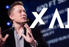 58070062130620251119080219219