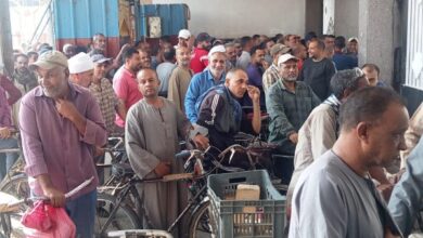 59043188569120251111020227227