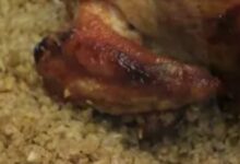 59467714326820251113085202522