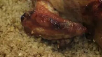 59467714326820251113085202522