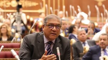 وزير الخارجية شرح بوضوح الموقف الخارجي لمصر وتحركاتها الدولية أمام لجنة الشيوخ 8 600