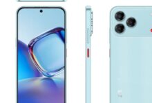 6191199579011202511110246504650