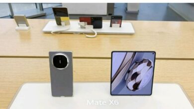 6191199579011202511120144394439