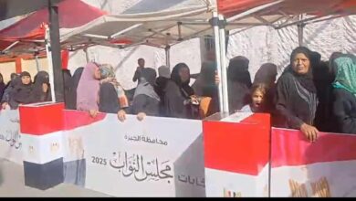 6241674701884202511110449454945