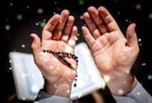 625197776640620241207045605565