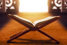 6251977766406202412070641334133