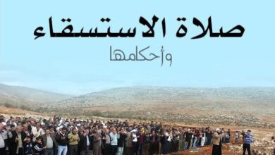 626525040358202511130219261926