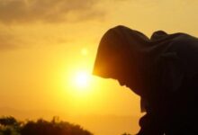 626525040358202511130246414641