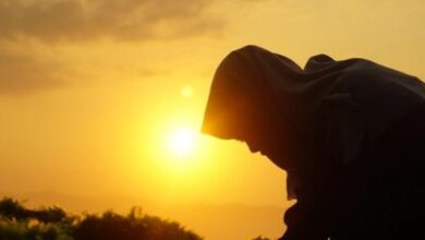 626525040358202511130246414641