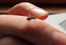 6271977767053202511111112111211