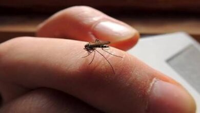 6271977767053202511111112111211