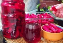 6271977767053202511121218101810