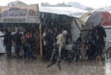 6351426671880202511150418171817