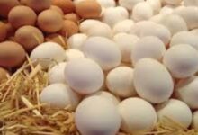 6402101893998202503140947304730