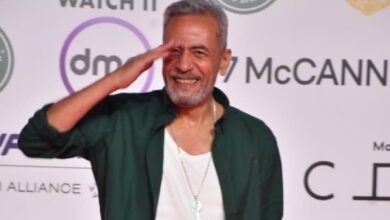 خالد النبوي وصبري فواز على السجادة الحمراء لعرض فيلم "ضايل عنا عرض" 5 6581420023328202511130741104110