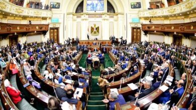 ضحية يومية.. سؤال برلماني لإنقاذ المجاري المائية من المخلفات الزراعية 6 66180243488202511160927252725