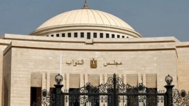 سؤال فى النواب لمواجهة ظاهرة مافيا انتظار السيارات 5 6618024348820251119090550550