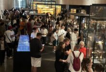 674255947712202511040856465646