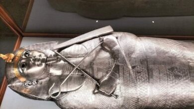 674255947712202511090930233023