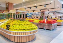 6791670303481202511110713311331