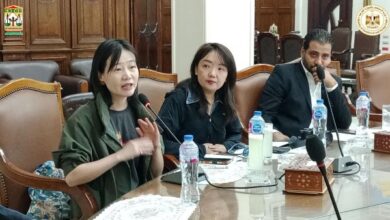 شركة صينية كبرى تستثمر في القطن المصري.. إنشاء خطوط إنتاج لمفروشات 100% قطن مصري 5 679167030348120251112124305435