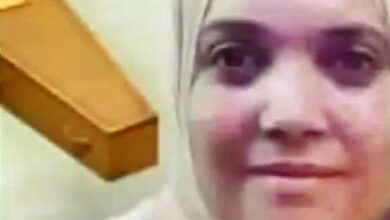 6861326662935202511120125262526