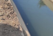 68613266629352025111502090292