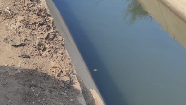 الترخيص لـ921 مشروعا زراعيا وتطهير 14 كم من المساقى الخصوصية 1 68613266629352025111502090292