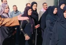 686132666293520251115125002502