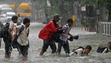 ارتفاع جديد في درجات الحرارة.. الأرصاد تحذر المواطنين من تقلبات الطقس 6 687552845087202505031126102610