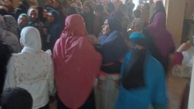 6881434333748202511110542454245