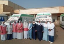 691125905661520251114010355355