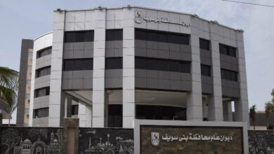 6911259056615202511281143364336