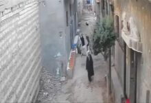 6921829931814202511160727552755