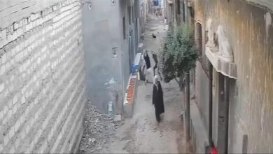 شاب يتعرض للضرب بالشوم والعصي أمام أسرته بالمنيا .. والتحقيق يكشف التفاصيل 6 6921829931814202511160727552755