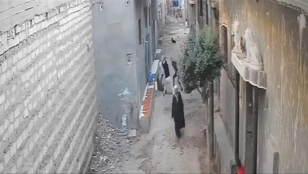 شاب يتعرض للضرب بالشوم والعصي أمام أسرته بالمنيا .. والتحقيق يكشف التفاصيل 1 6921829931814202511160727552755