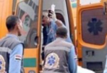 699200975598202503210446224622