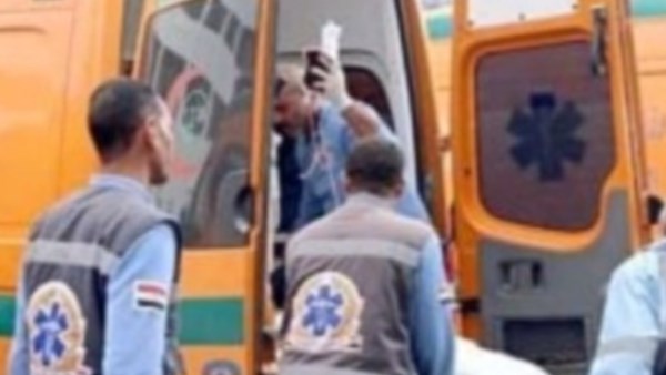 699200975598202503210446224622