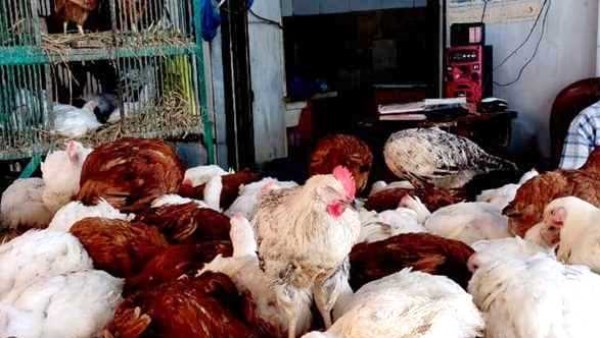 69920097559820251107020313313