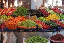 699200975598202511120331153115