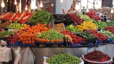 699200975598202511120331153115